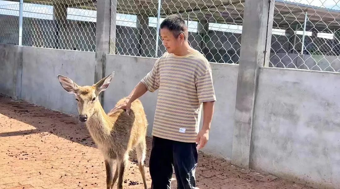 大皇冠游戏